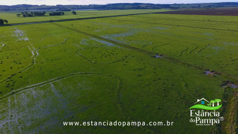 DOS EÓLICOS VIRA P FAZENDA_Moment.00_03_52_05.Quadro246_1402fb20ed6349b42f9df5759c3ca71960985979.jpg